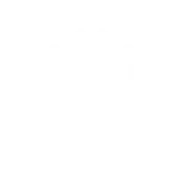 Suspension icon